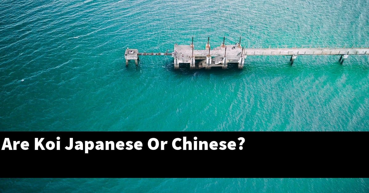 Are Koi Japanese Or Chinese?