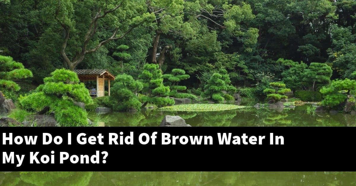 How Do I Get Rid Of Brown Water In My Koi Pond?