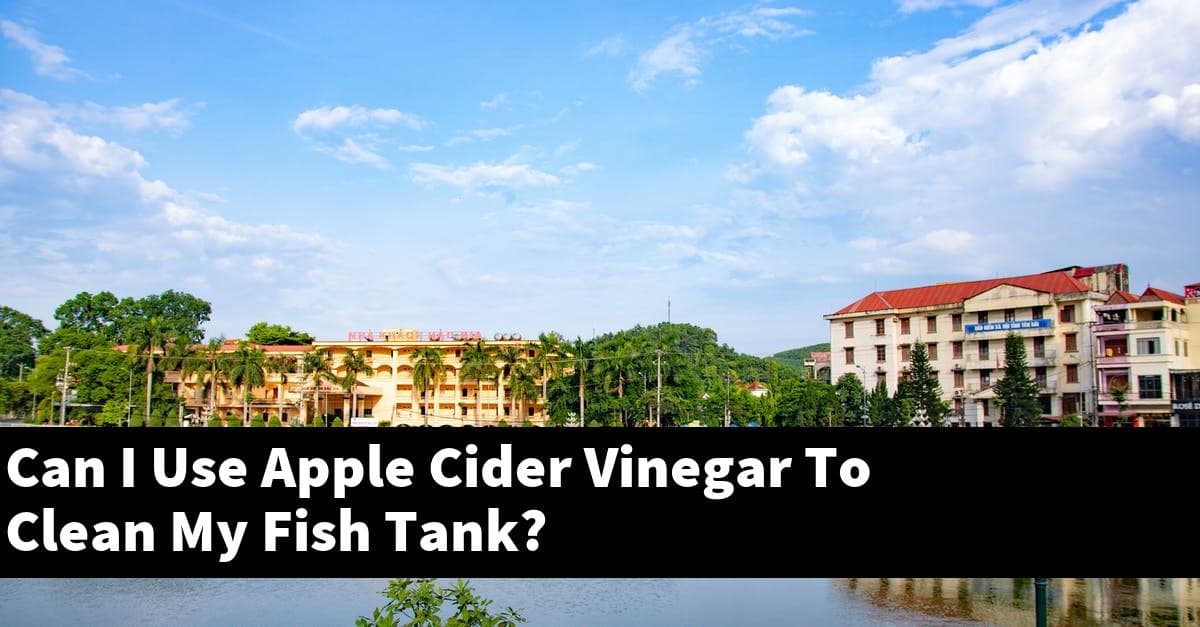 Can I Use Apple Cider Vinegar To Clean My Fish Tank?