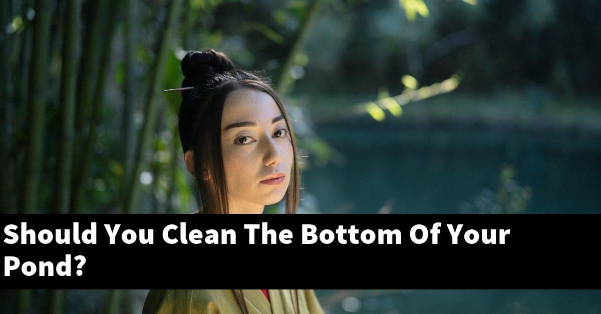 Should You Clean The Bottom Of Your Pond?