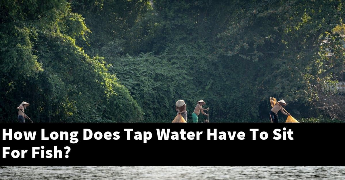 How Long Does Tap Water Have To Sit For Fish?