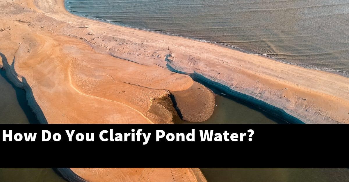 How Do You Clarify Pond Water?