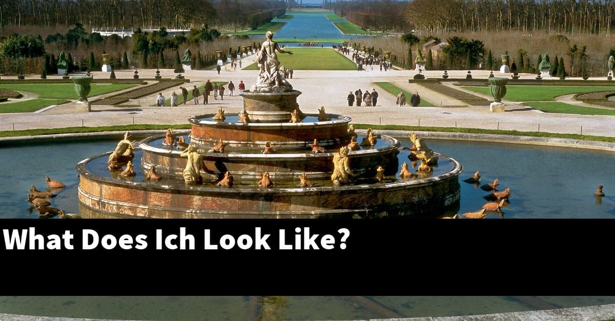 What Does Ich Look Like?