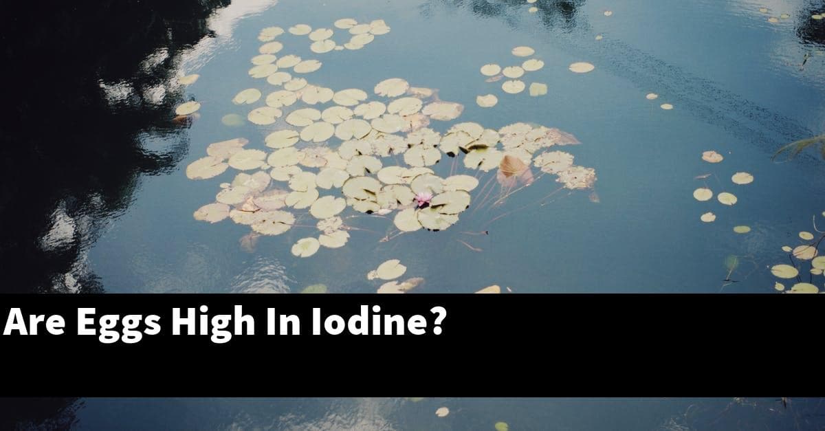 Are Eggs High In Iodine?