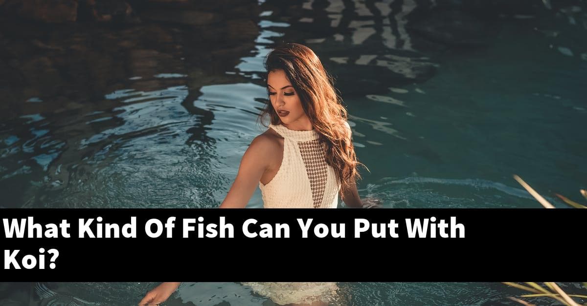What Kind Of Fish Can You Put With Koi?