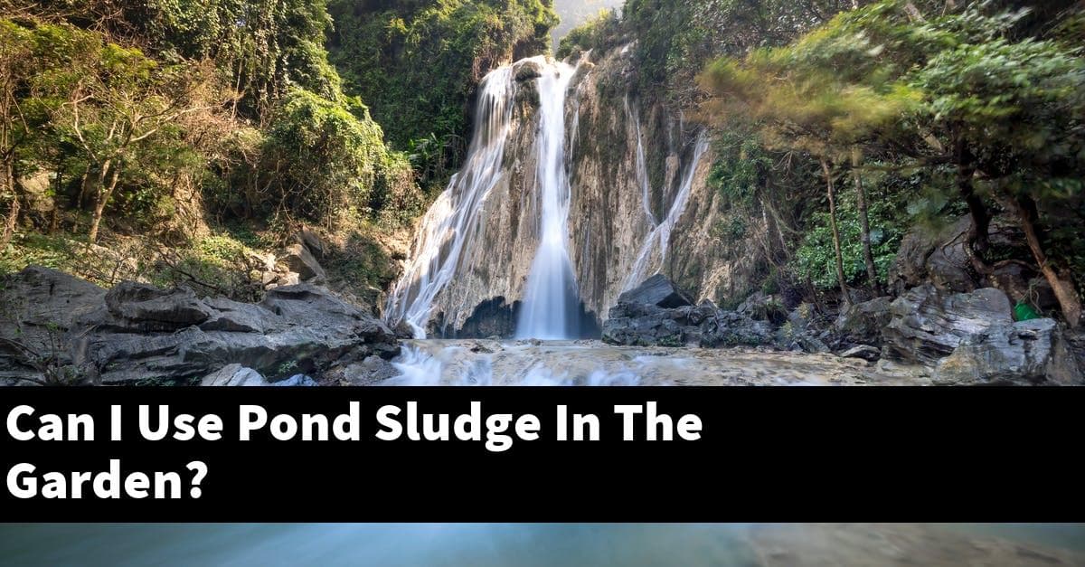 Can I Use Pond Sludge In The Garden?