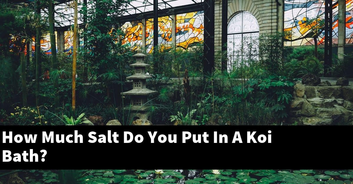 How Much Salt Do You Put In A Koi Bath?