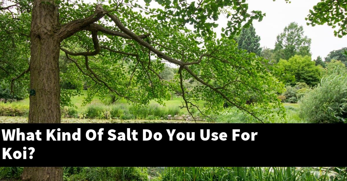 What Kind Of Salt Do You Use For Koi?