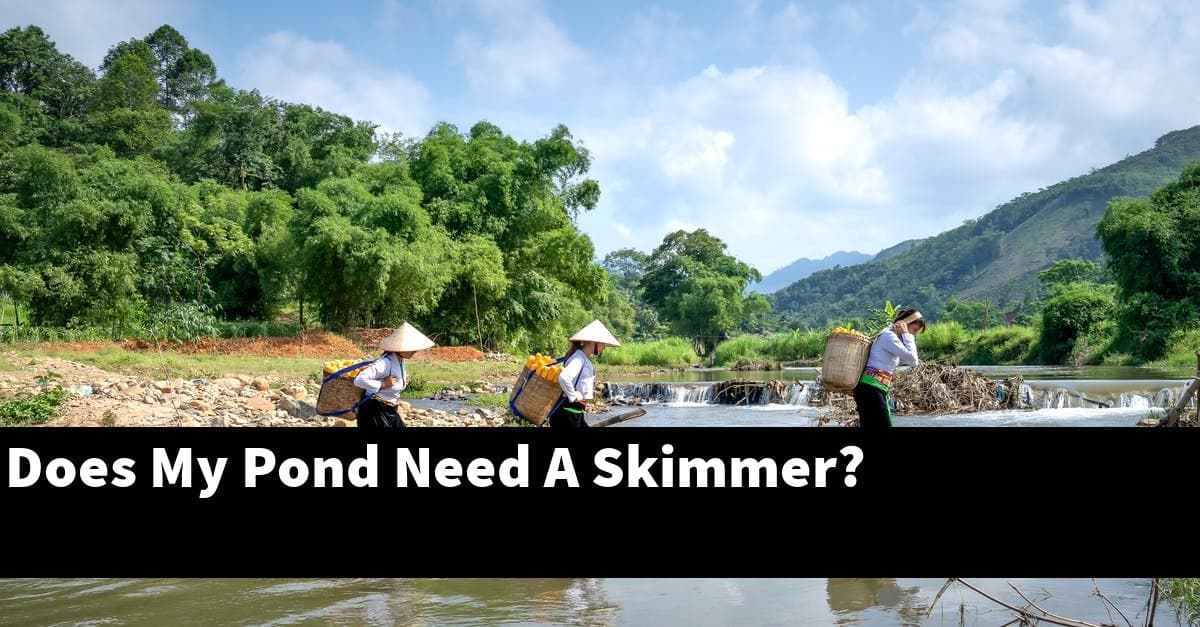 Does My Pond Need A Skimmer?