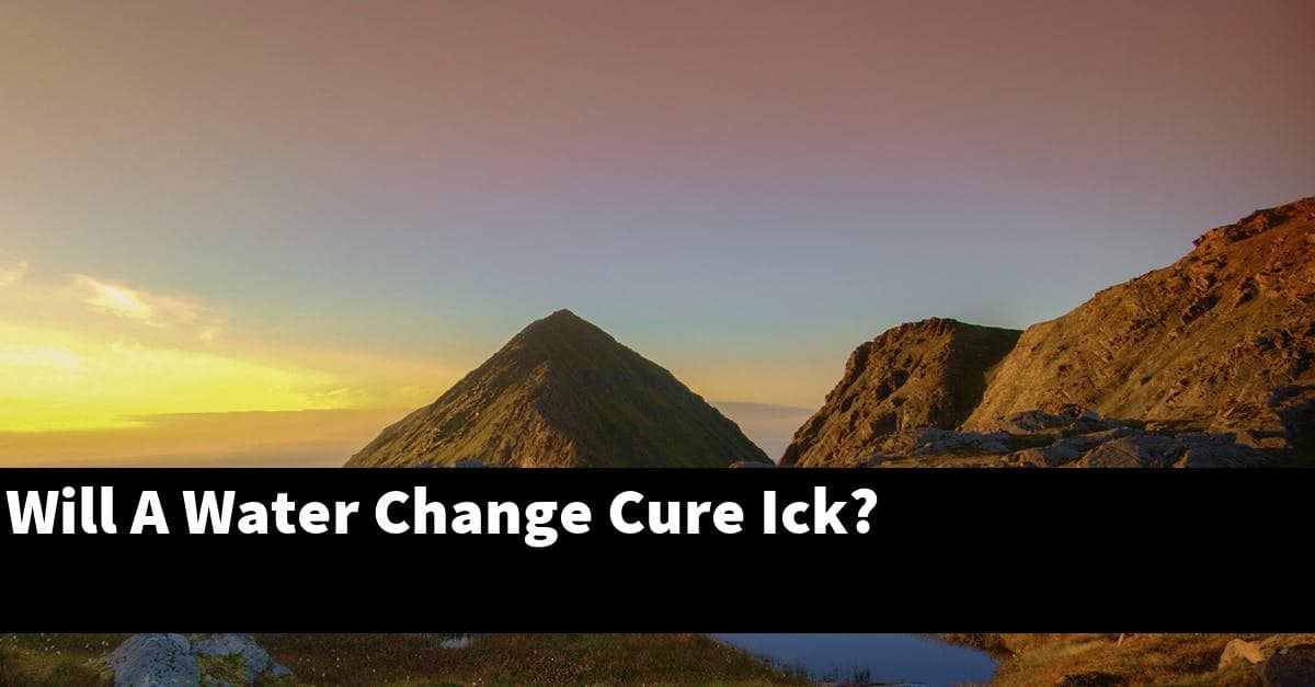 Will A Water Change Cure Ick?