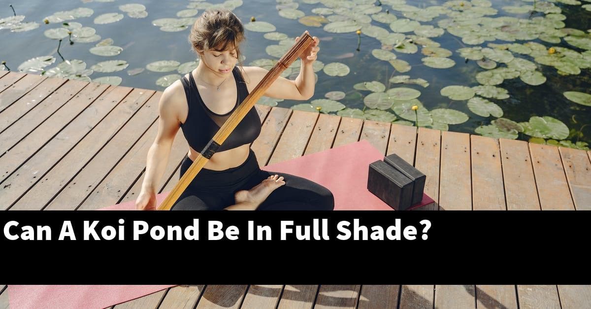 Can A Koi Pond Be In Full Shade?