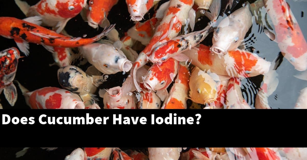 Does Cucumber Have Iodine?