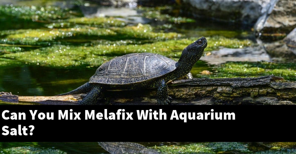 Can You Mix Melafix With Aquarium Salt?