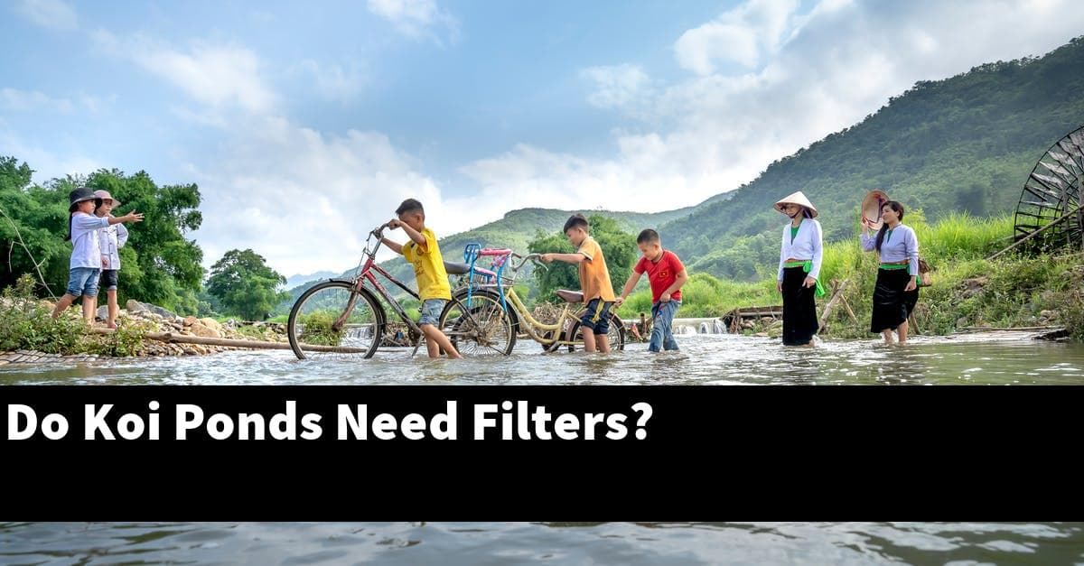 Do Koi Ponds Need Filters?