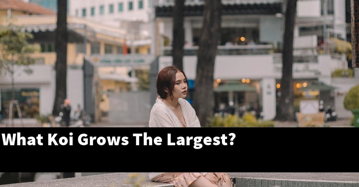 What Koi Grows The Largest?