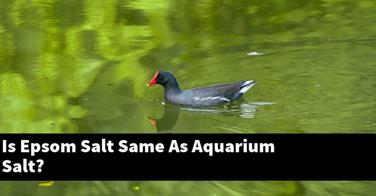 Is Epsom Salt Same As Aquarium Salt?