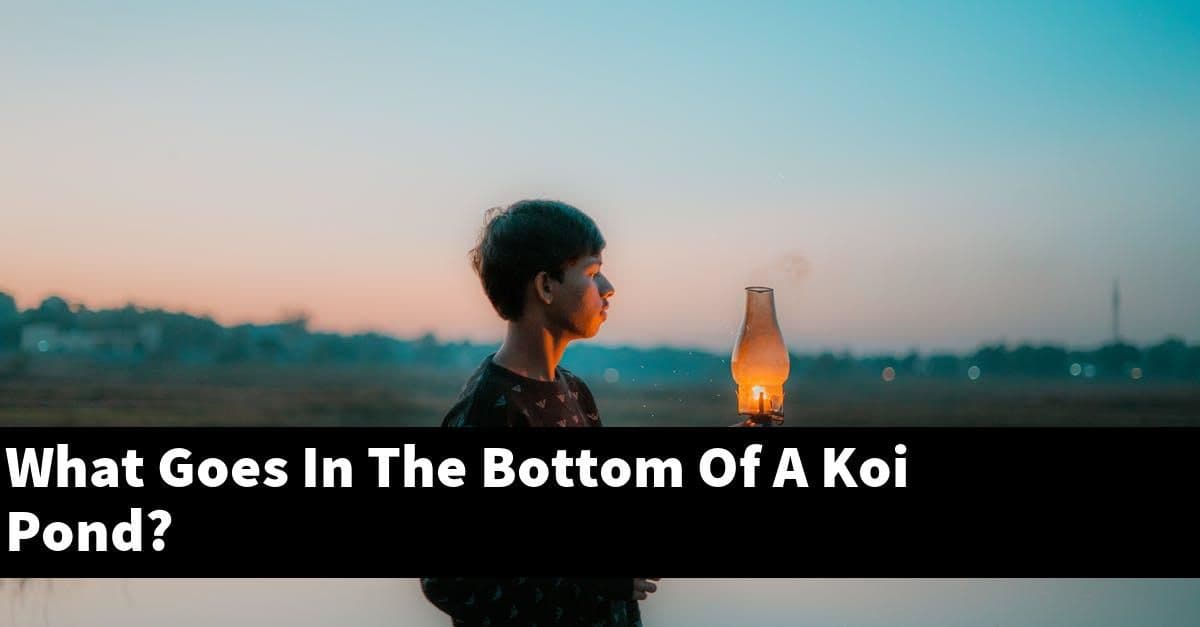 What Goes In The Bottom Of A Koi Pond?