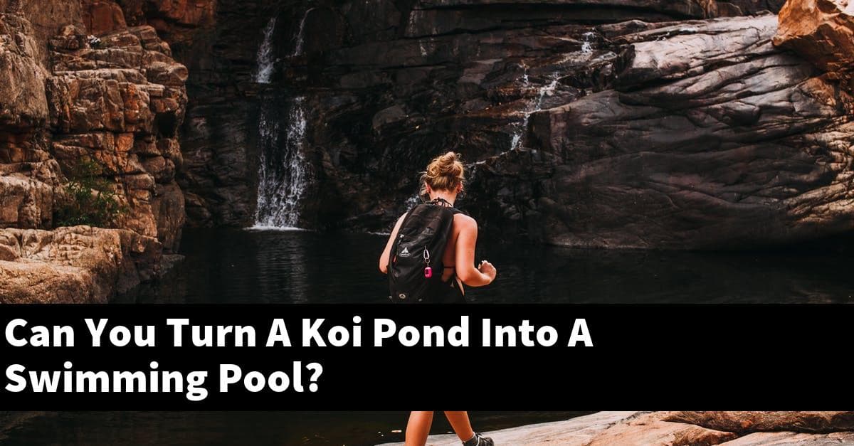 Can You Turn A Koi Pond Into A Swimming Pool?