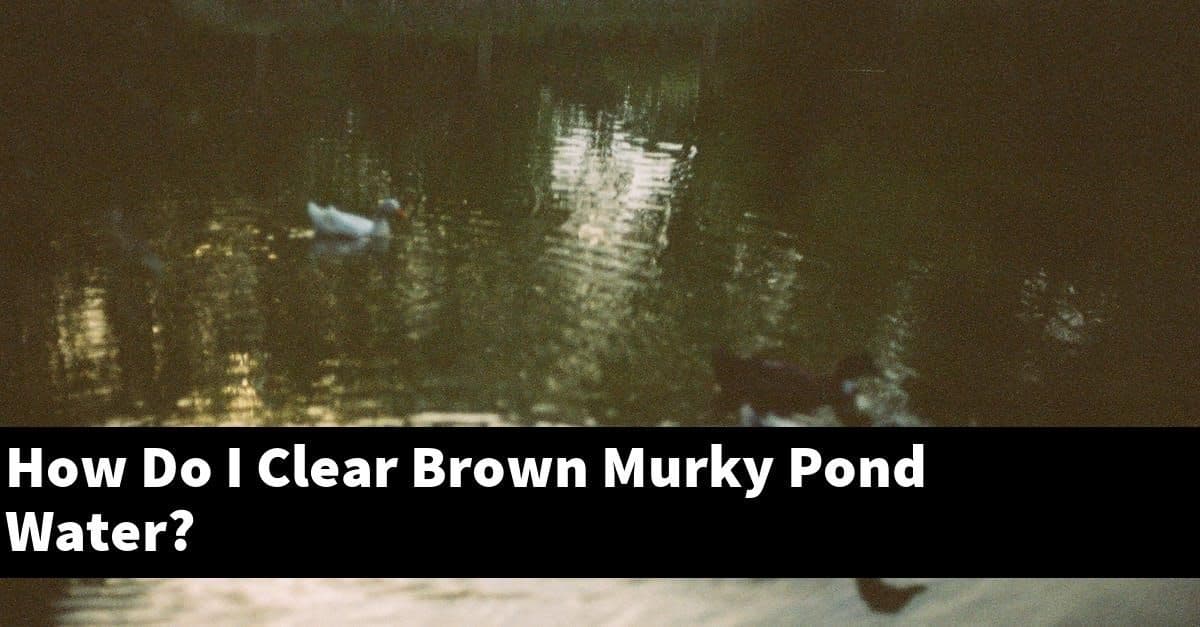 How Do I Clear Brown Murky Pond Water?
