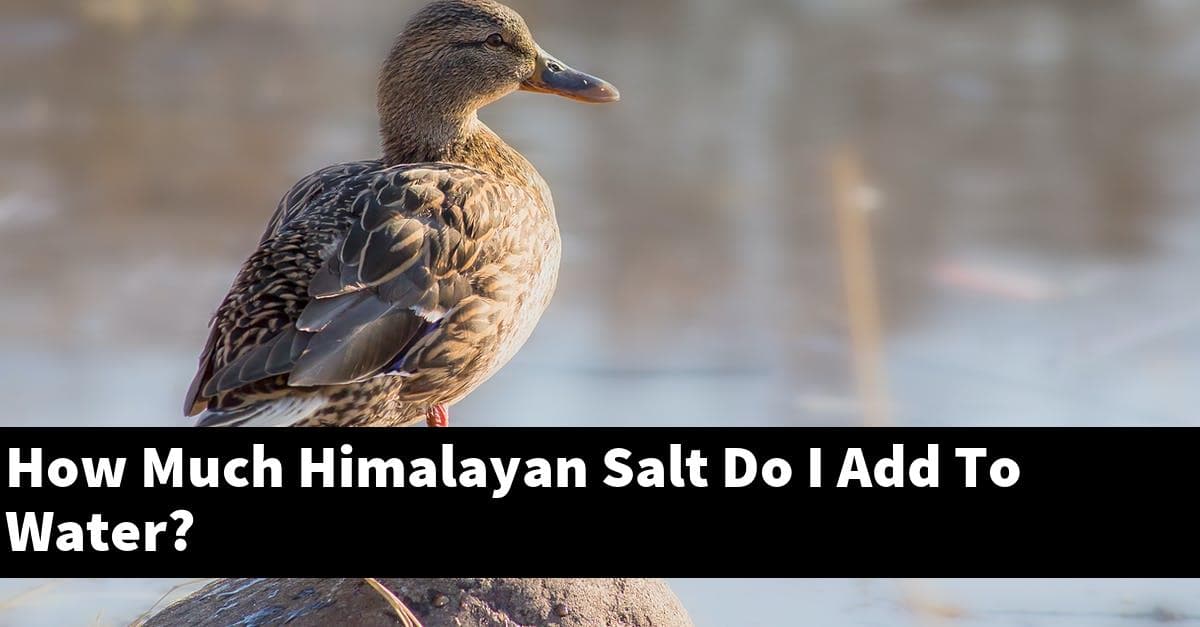 How Much Himalayan Salt Do I Add To Water?