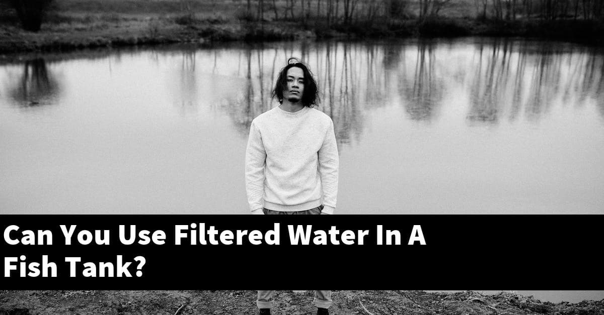Can You Use Filtered Water In A Fish Tank?