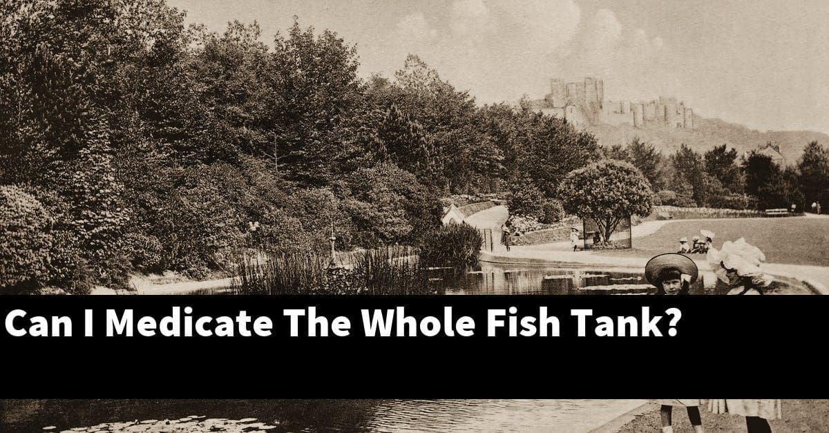 Can I Medicate The Whole Fish Tank?