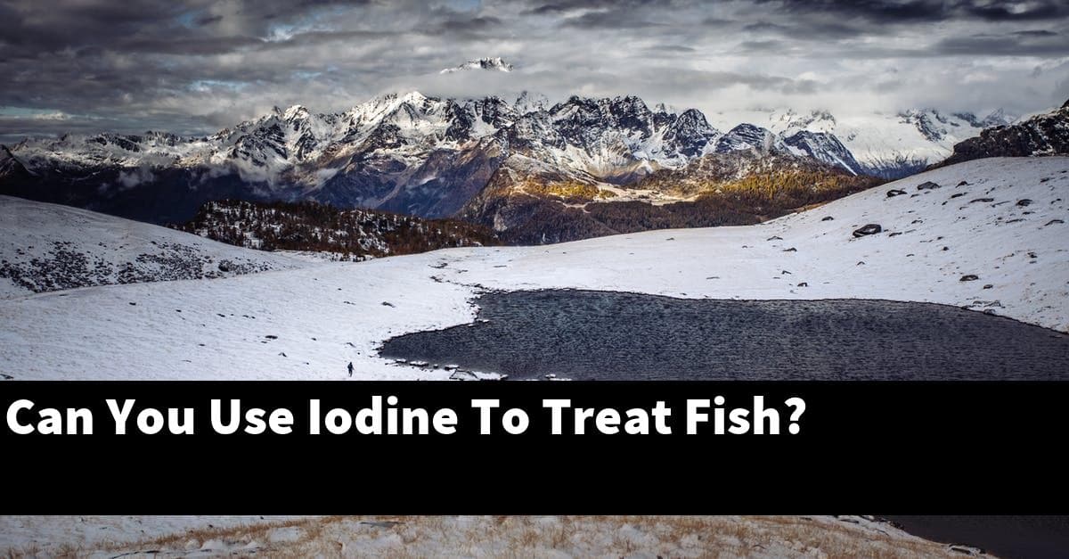 Can You Use Iodine To Treat Fish?