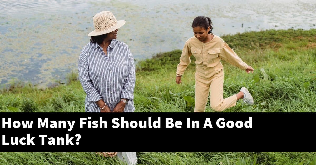 How Many Fish Should Be In A Good Luck Tank?