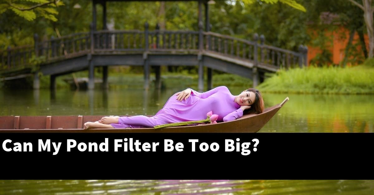 Can My Pond Filter Be Too Big?