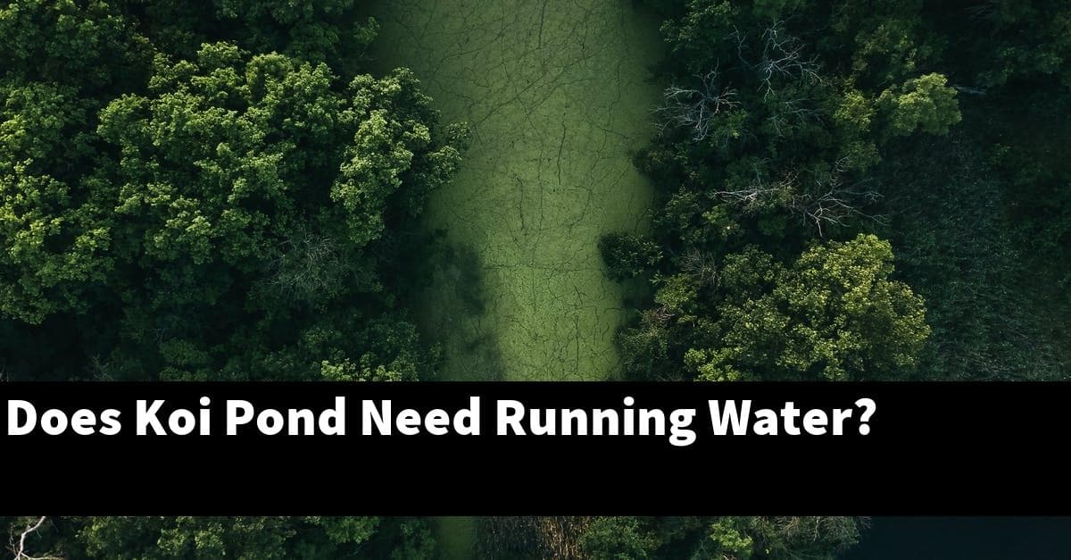 Does Koi Pond Need Running Water?