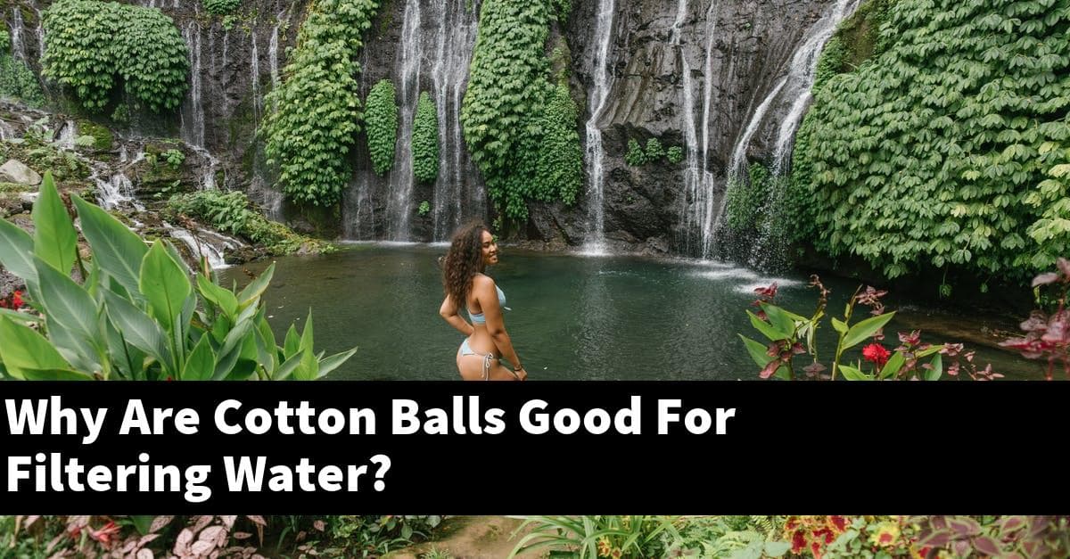Why Are Cotton Balls Good For Filtering Water?