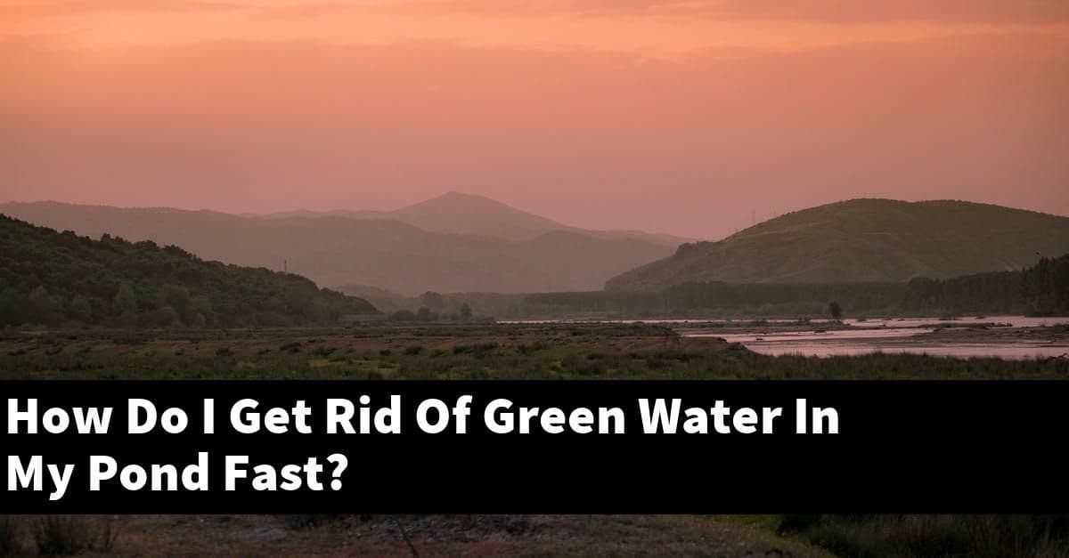 How Do I Get Rid Of Green Water In My Pond Fast?