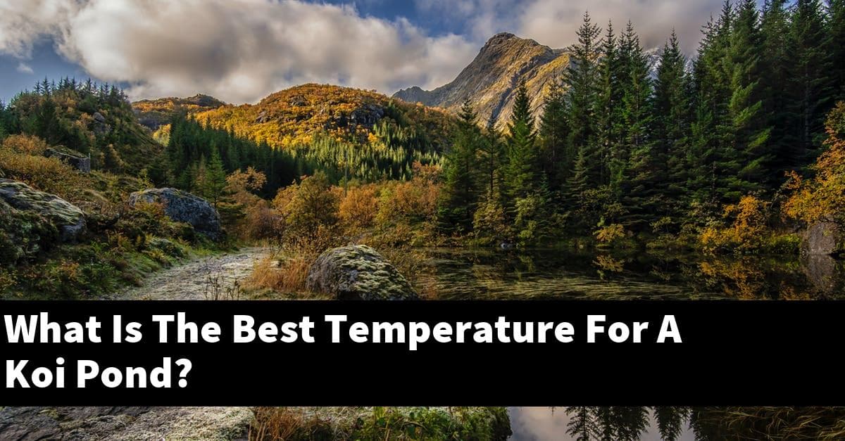 What Is The Best Temperature For A Koi Pond?