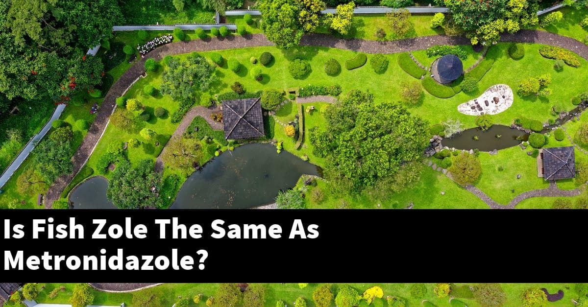 Is Fish Zole The Same As Metronidazole?