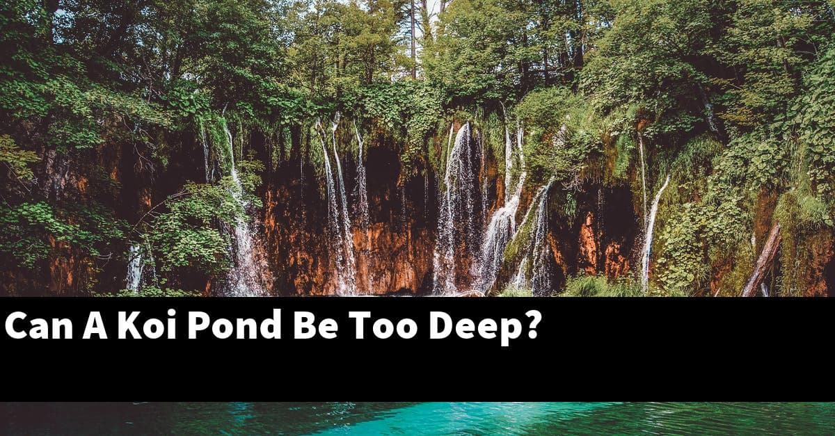 Can A Koi Pond Be Too Deep?