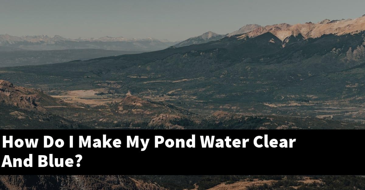 How Do I Make My Pond Water Clear And Blue?