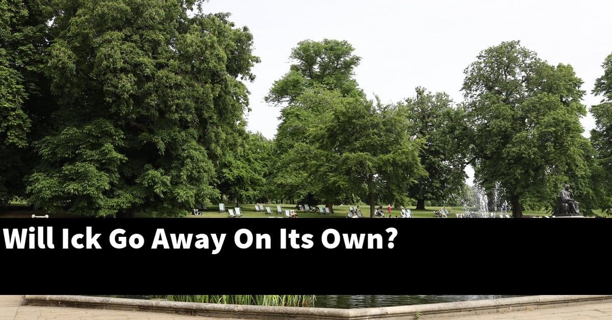 Will Ick Go Away On Its Own?