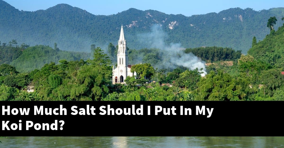 How Much Salt Should I Put In My Koi Pond?