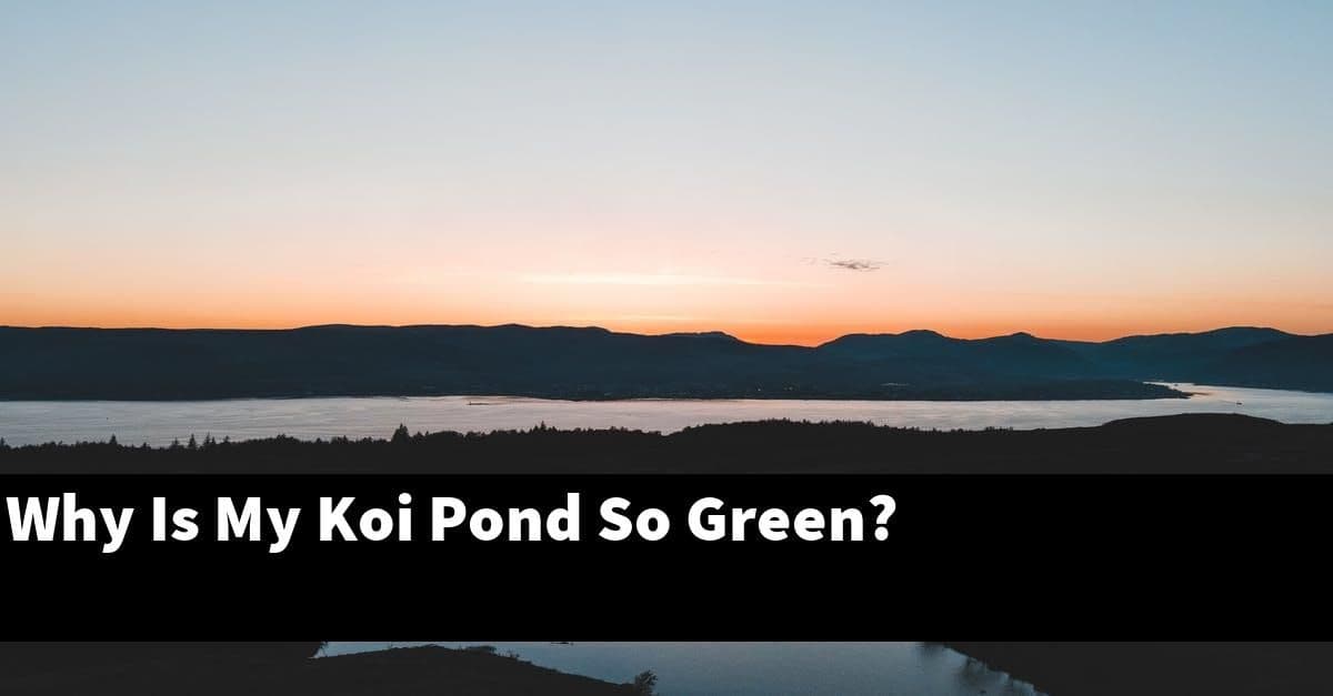 Why Is My Koi Pond So Green?