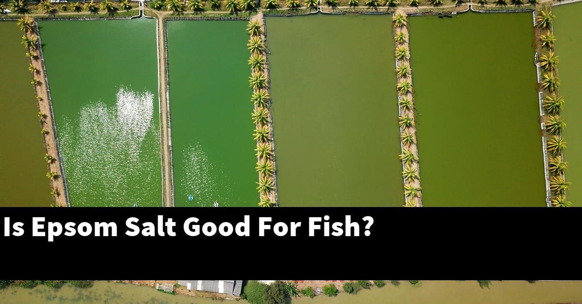 Is Epsom Salt Good For Fish?