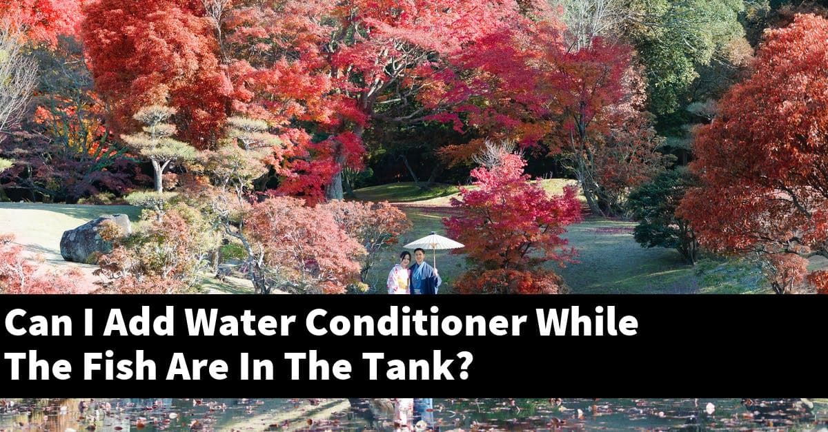 Can I Add Water Conditioner While The Fish Are In The Tank?