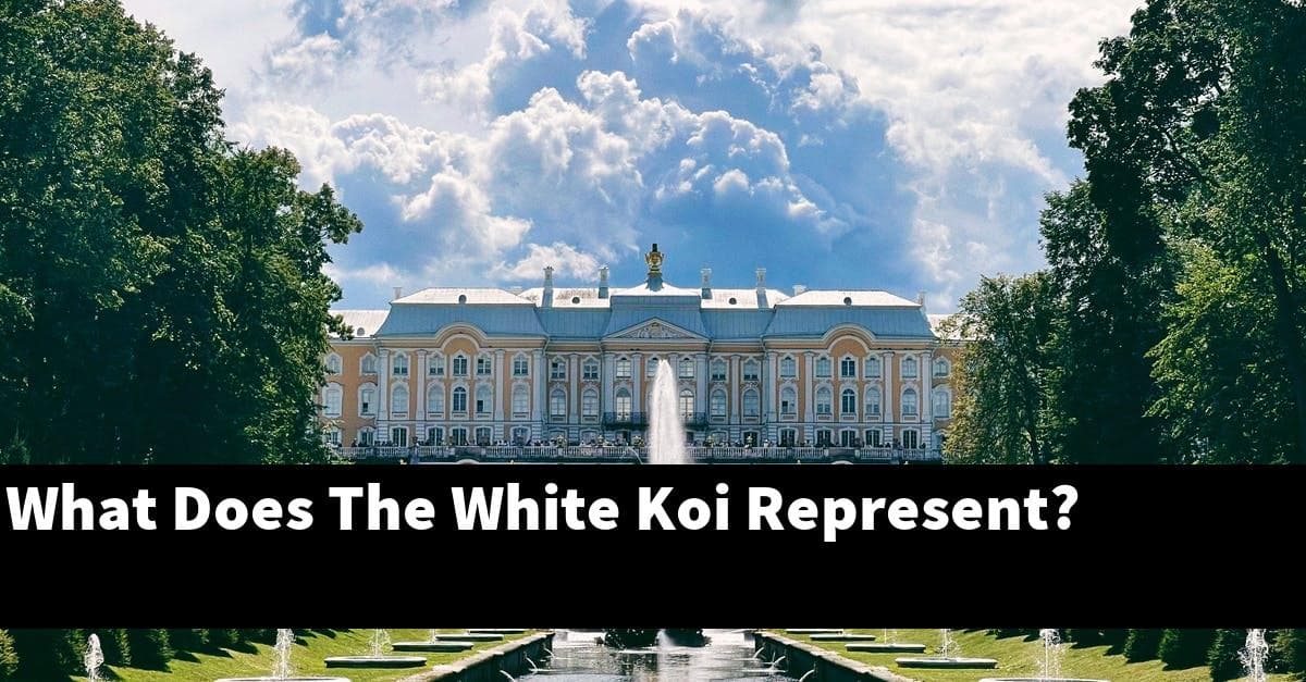 What Does The White Koi Represent?