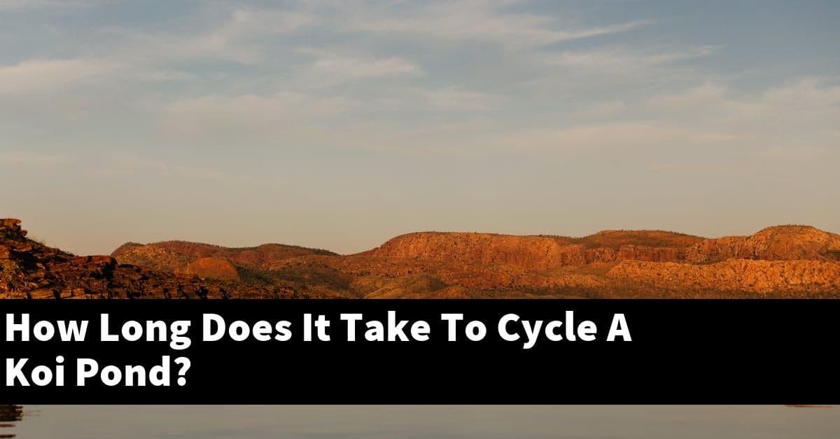 How Long Does It Take To Cycle A Koi Pond?