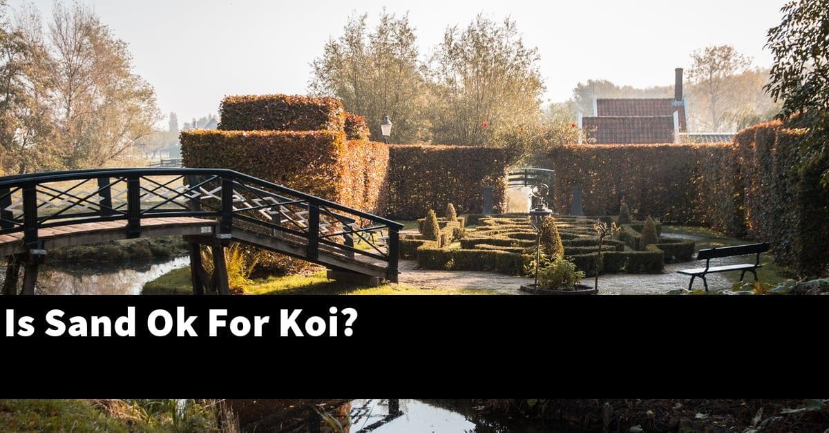 Is Sand Ok For Koi?