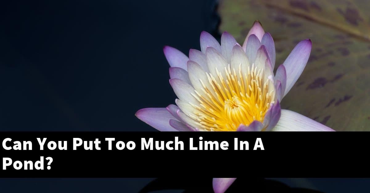 Can You Put Too Much Lime In A Pond?
