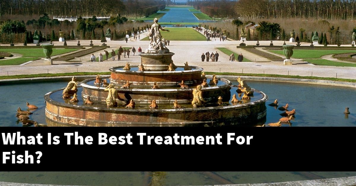 What Is The Best Treatment For Fish?