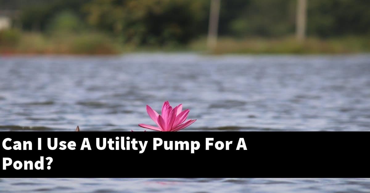 Can I Use A Utility Pump For A Pond?