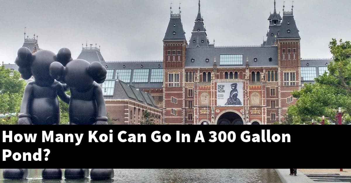 How Many Koi Can Go In A 300 Gallon Pond?