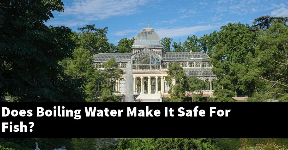 Does Boiling Water Make It Safe For Fish?