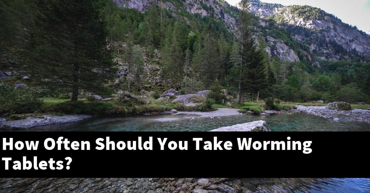 How Often Should You Take Worming Tablets?